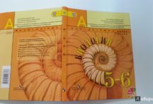 Photo of Биология в 6 классе