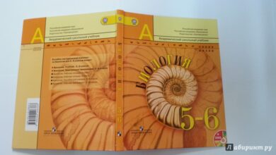 Photo of Биология в 6 классе