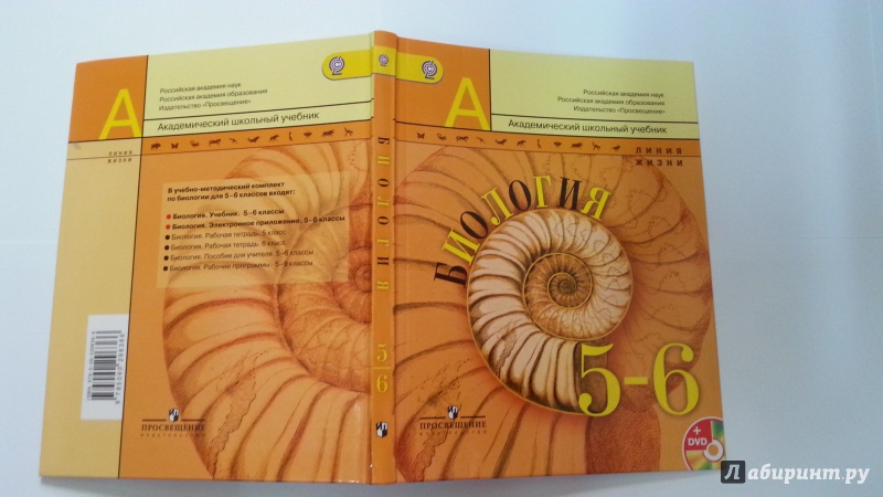Фото 17 — Биология в 6 классе