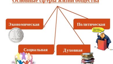 Photo of Обществознание в 6 классе