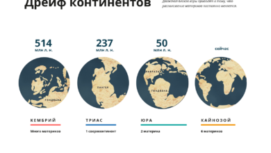 Photo of Урок географии: изучение континентов