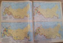 Photo of География в 8 классе