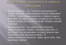 Photo of Химия: химические элементы и соединения