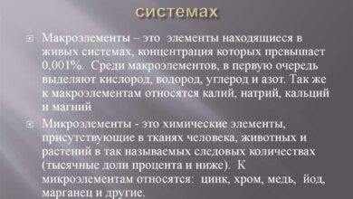 Photo of Химия: химические элементы и соединения