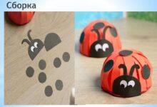 Photo of Урок технологии: основы шитья