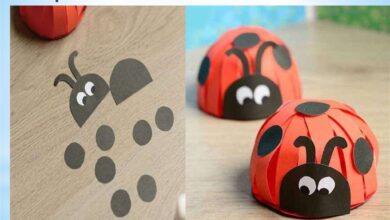 Photo of Урок технологии: основы шитья