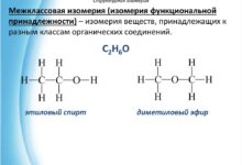 Photo of Химия: органические соединения