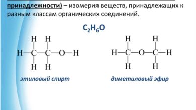 Photo of Химия: органические соединения