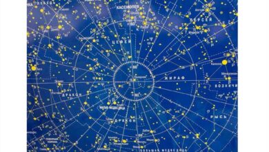 Photo of Физика: законы движения тел