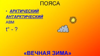 Photo of География: климатические пояса Земли