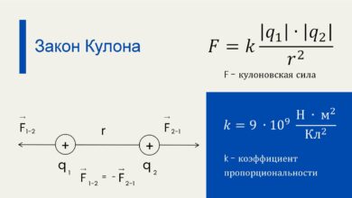 Photo of Физика в 10 классе